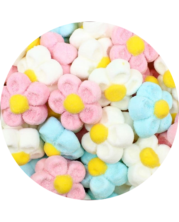 Marshmallow - Daisy flowers (900 GR)
